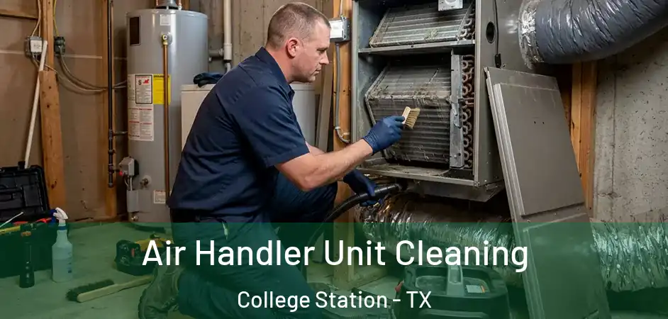  Air Handler Unit Cleaning College Station - TX